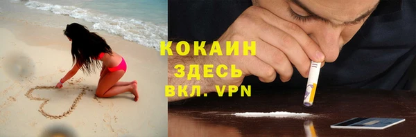 дмт Новозыбков