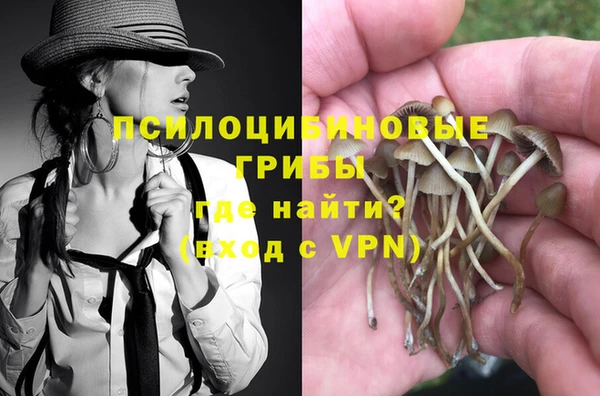 МДПВ Новокубанск