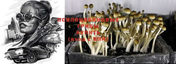дмт Новозыбков