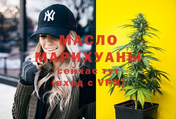 дмт Новозыбков