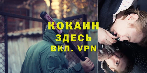 дмт Новозыбков