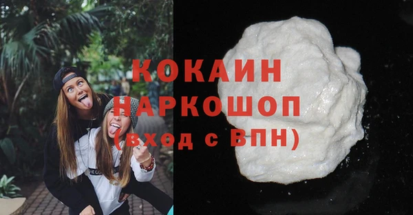 дмт Новозыбков