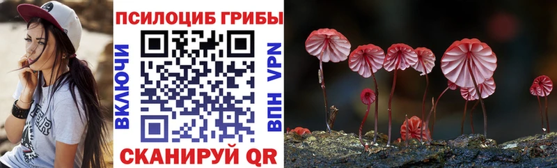 Галлюциногенные грибы мицелий Багратионовск