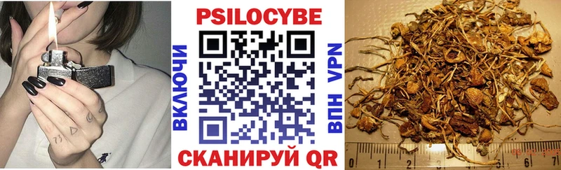 Псилоцибиновые грибы прущие грибы  цена наркотик  Багратионовск 